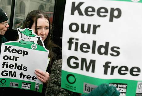Debate still rages over genetically modified food after nearly 20 years