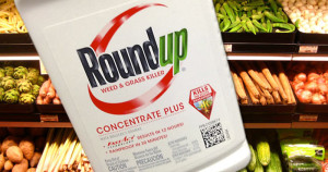 roundup