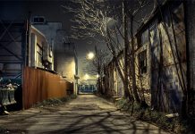 carry firearms self defense