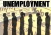 565 Americans Have Lost Their Job For Every Confirmed COVID-19 Death In The US unemployment