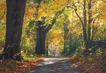 The Best Route To Bug Out Or Get Back Home bug out