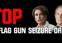 red flag gun seizures