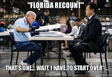Florida Midterm Election Drama: The Sun Is Finally Shining On Deep State Darkness florida recount