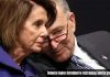 Pelosi and Schumer Show Their Colors democrats suck