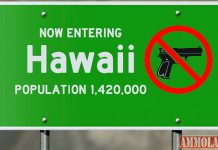 hawaii gun rights
