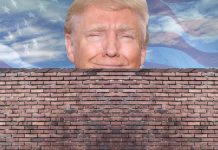 trump wall