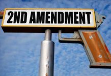 second amendment