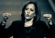 Facebook Fact Checker Interfering in U.S. Election, Covering for Harris’s Gun Control facebook guns fact checks