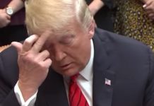 Macaroni and F**K IT! : Trump Should Now Pardon Snowden and Assange trump funny