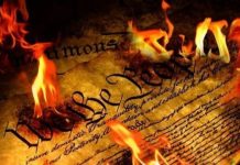 constitution government