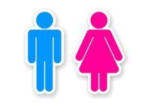 male vs female