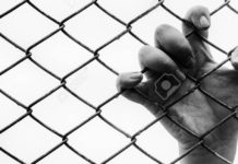 Why Is Freedom Always the Problem? no freedom