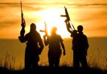 Why Die for Biden? die for biden